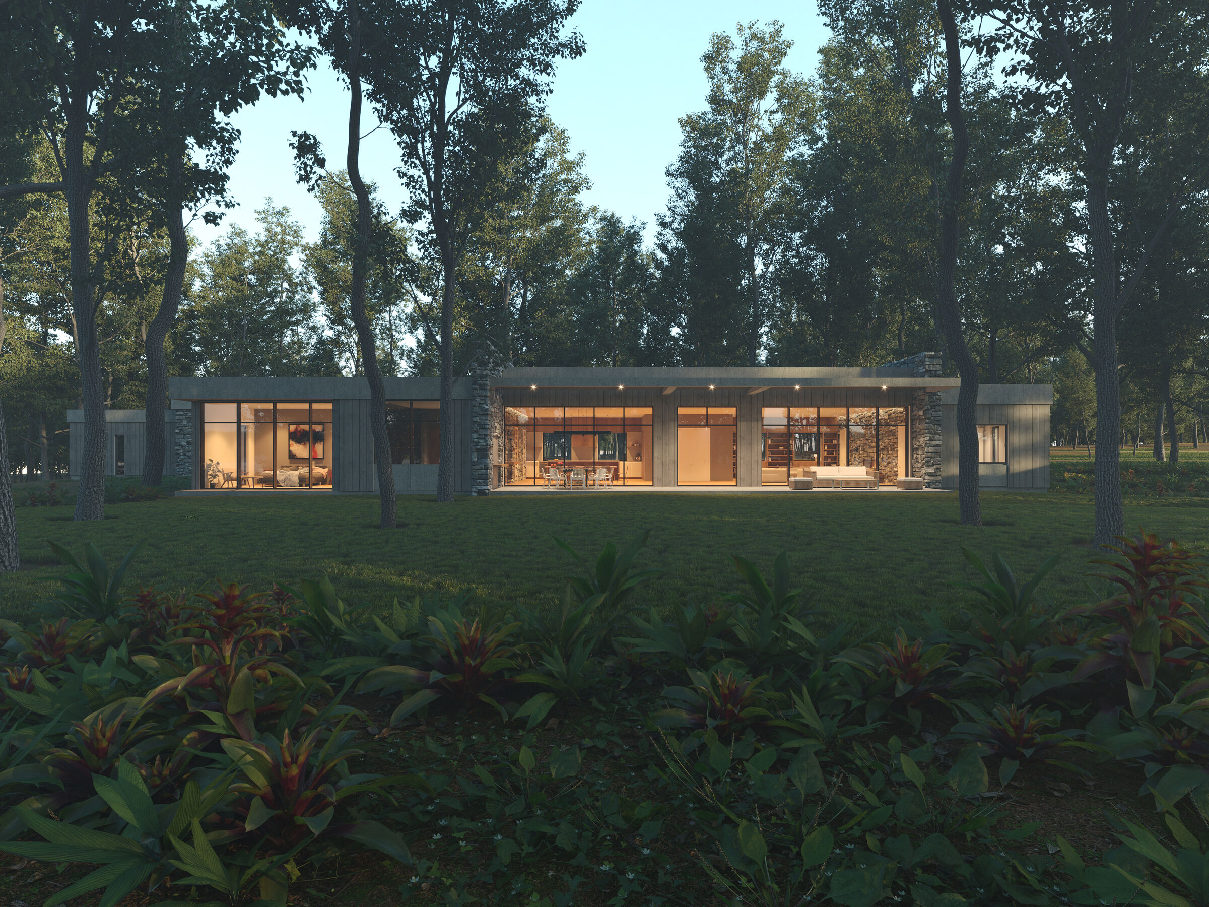 House rear view from forest