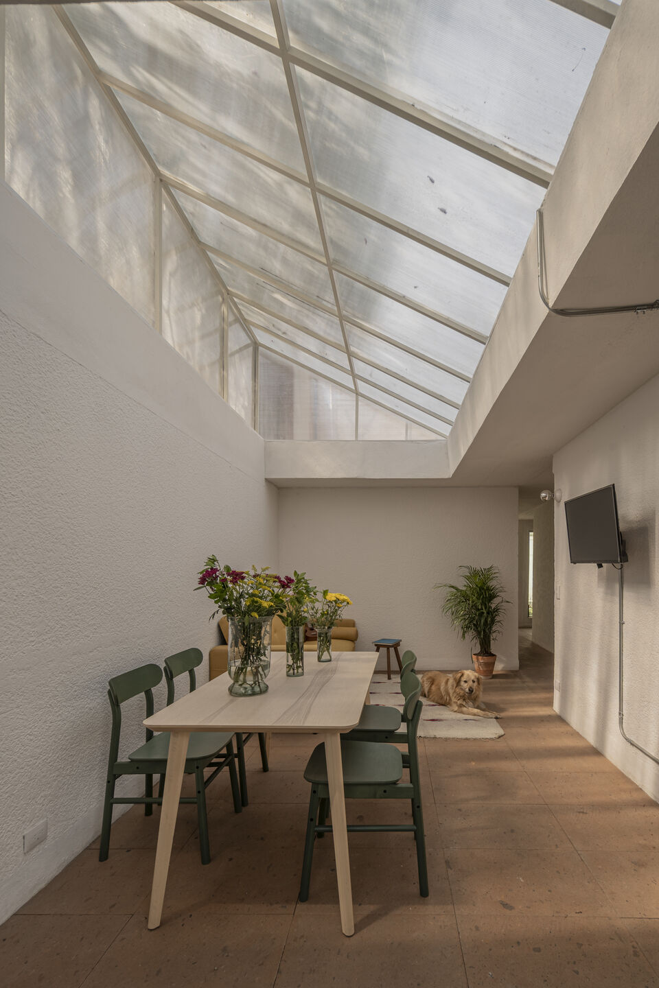 Under the shadow of a Tree