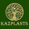 kaz plants