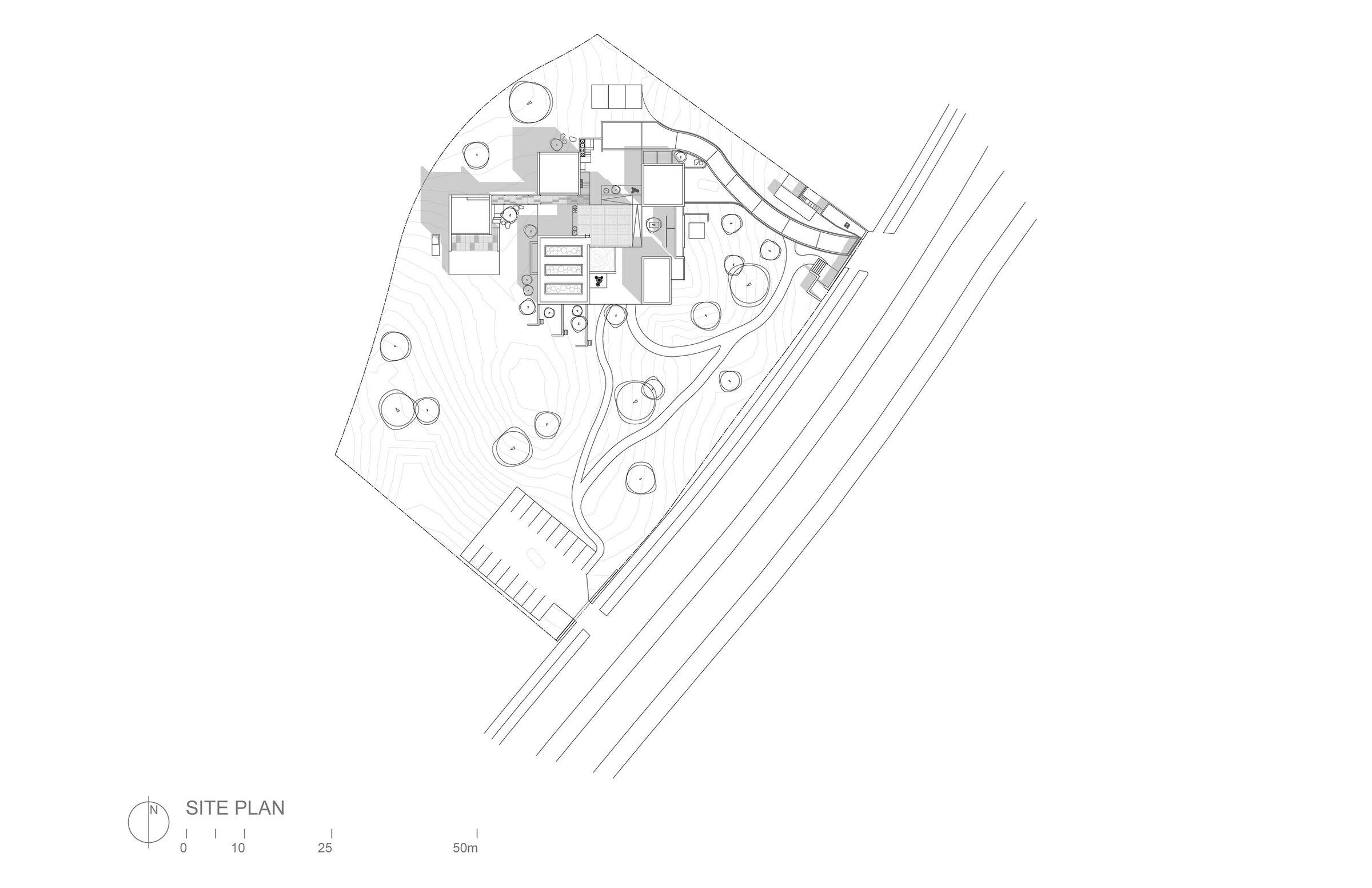 Casa Ballena | Siteplan