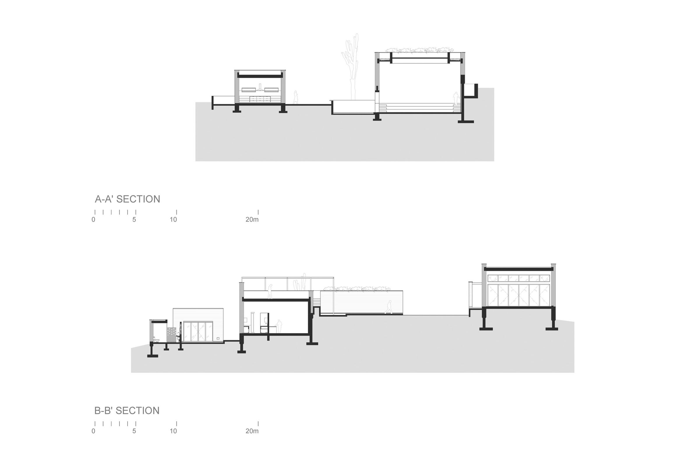 Casa Ballena | Sections