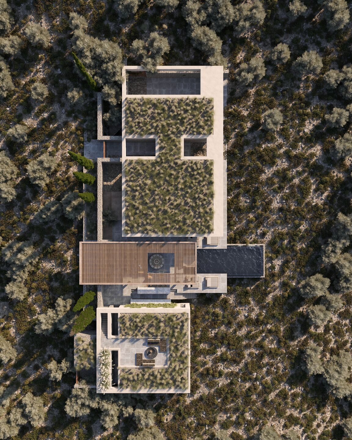 Top View