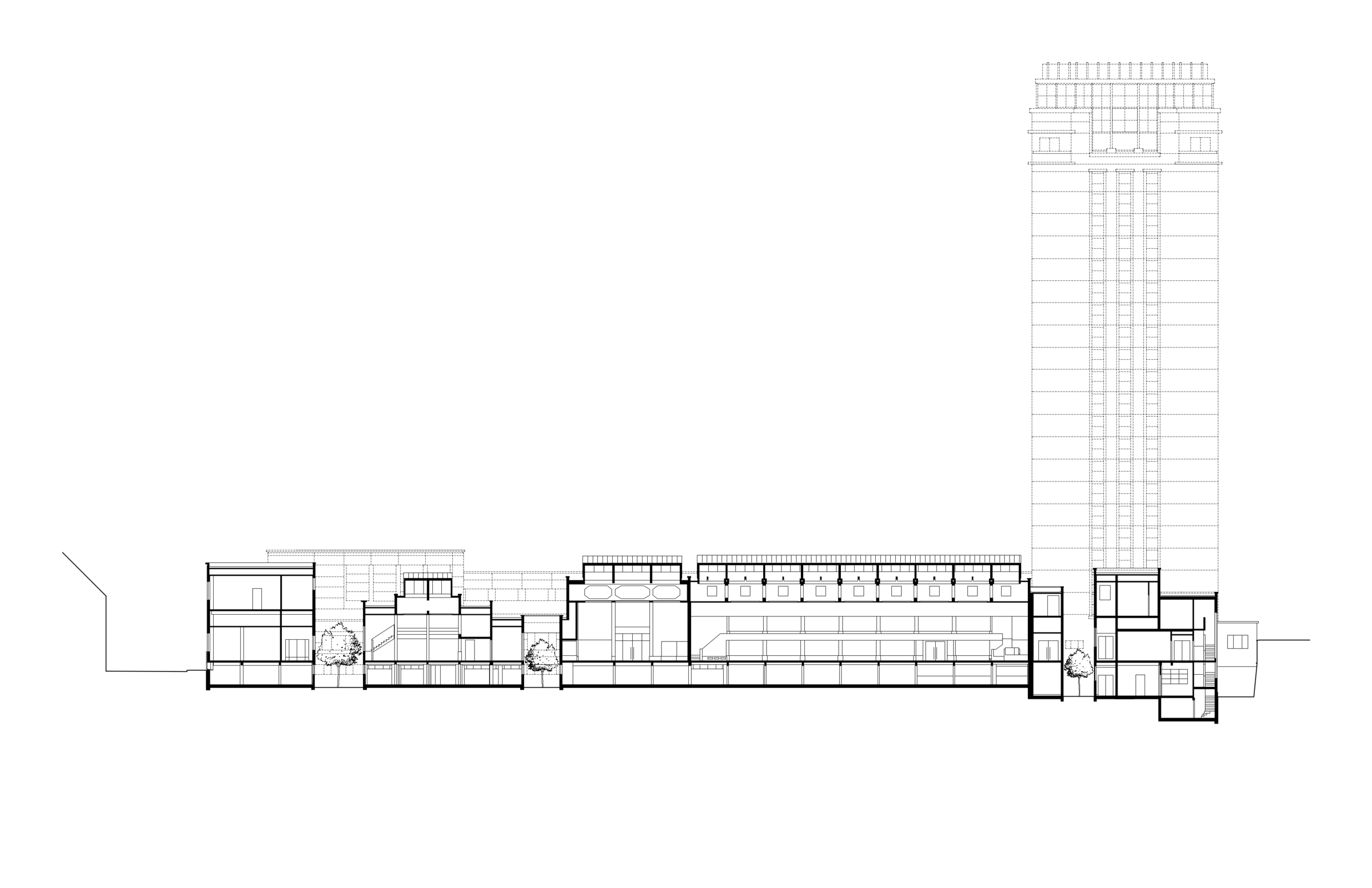 section