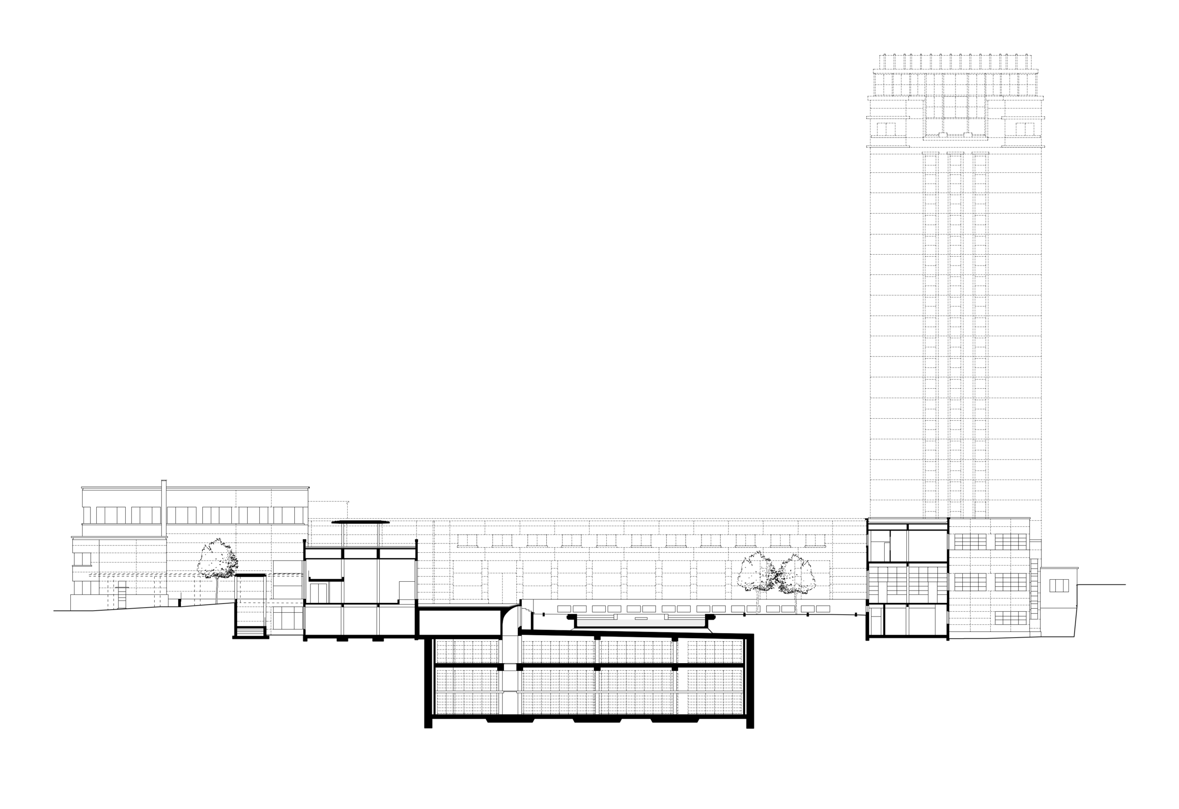 section