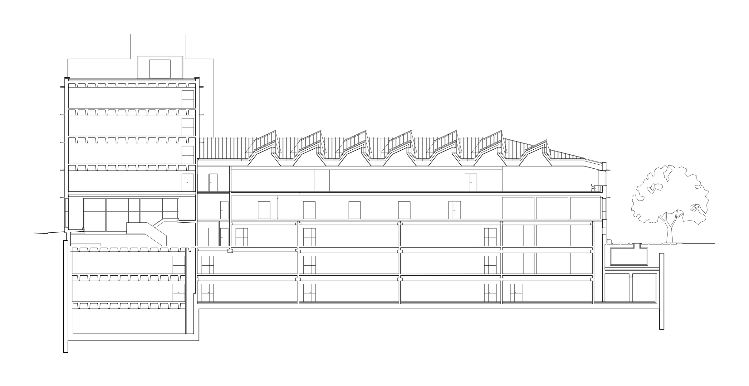 section