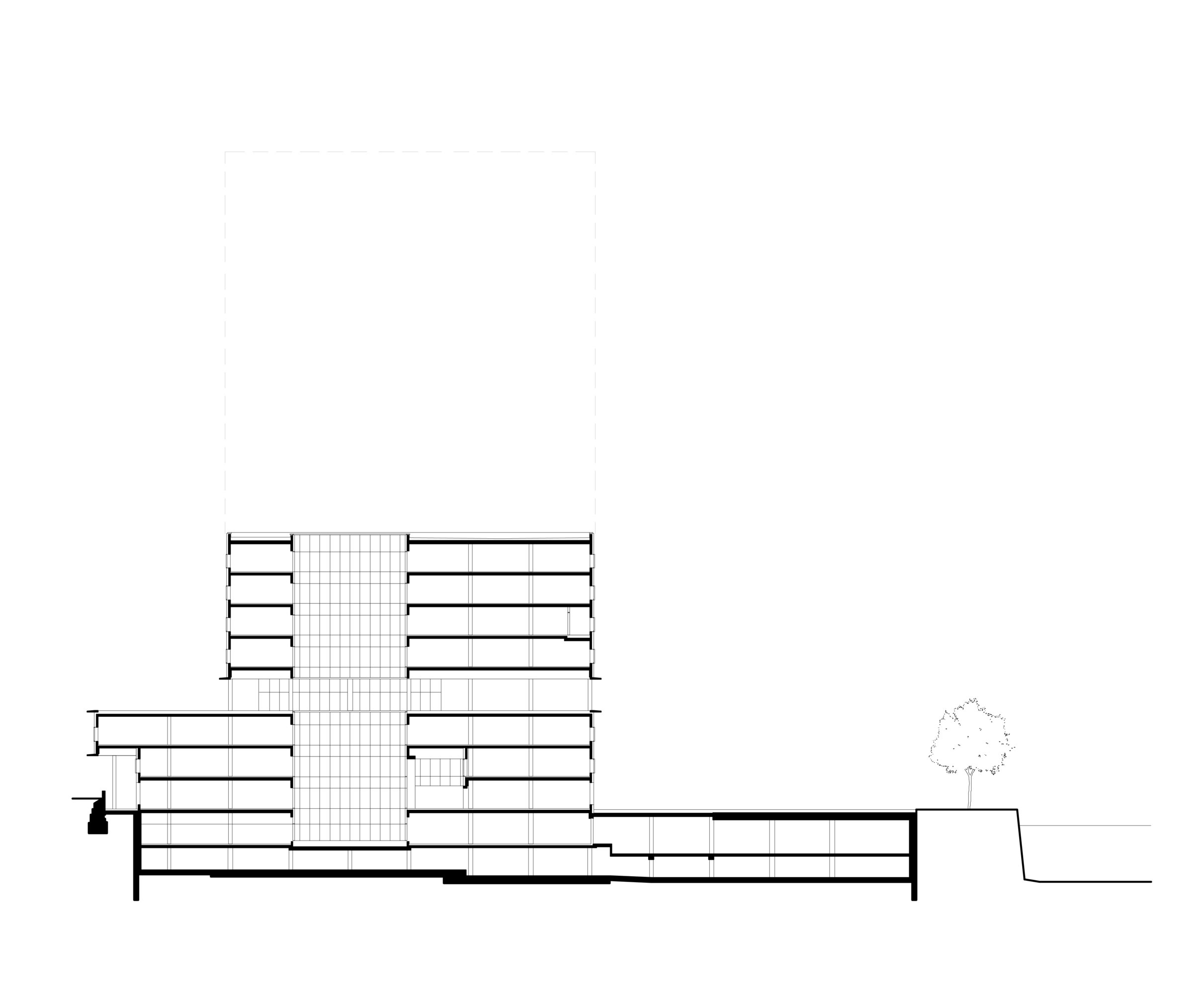 section