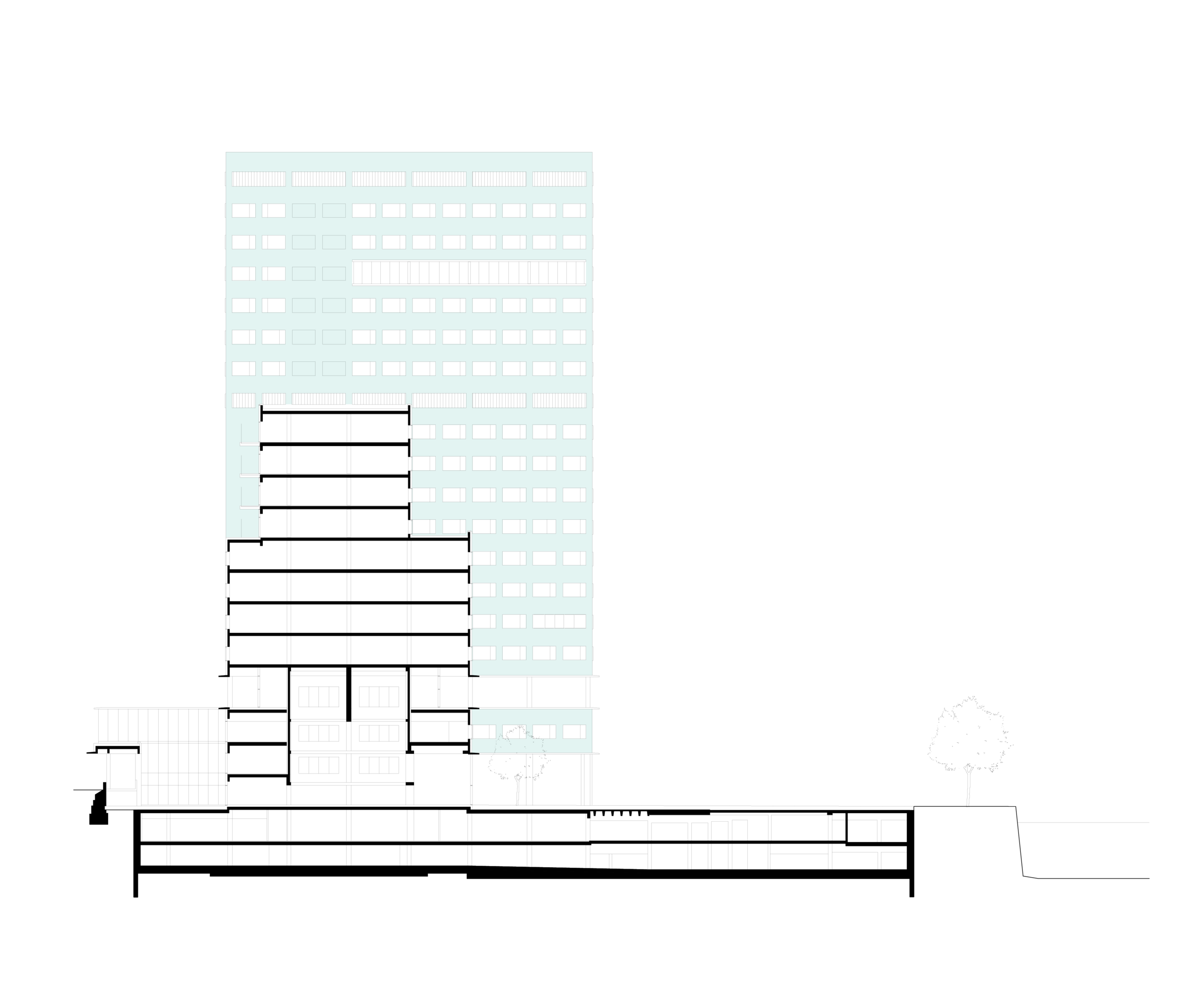 section
