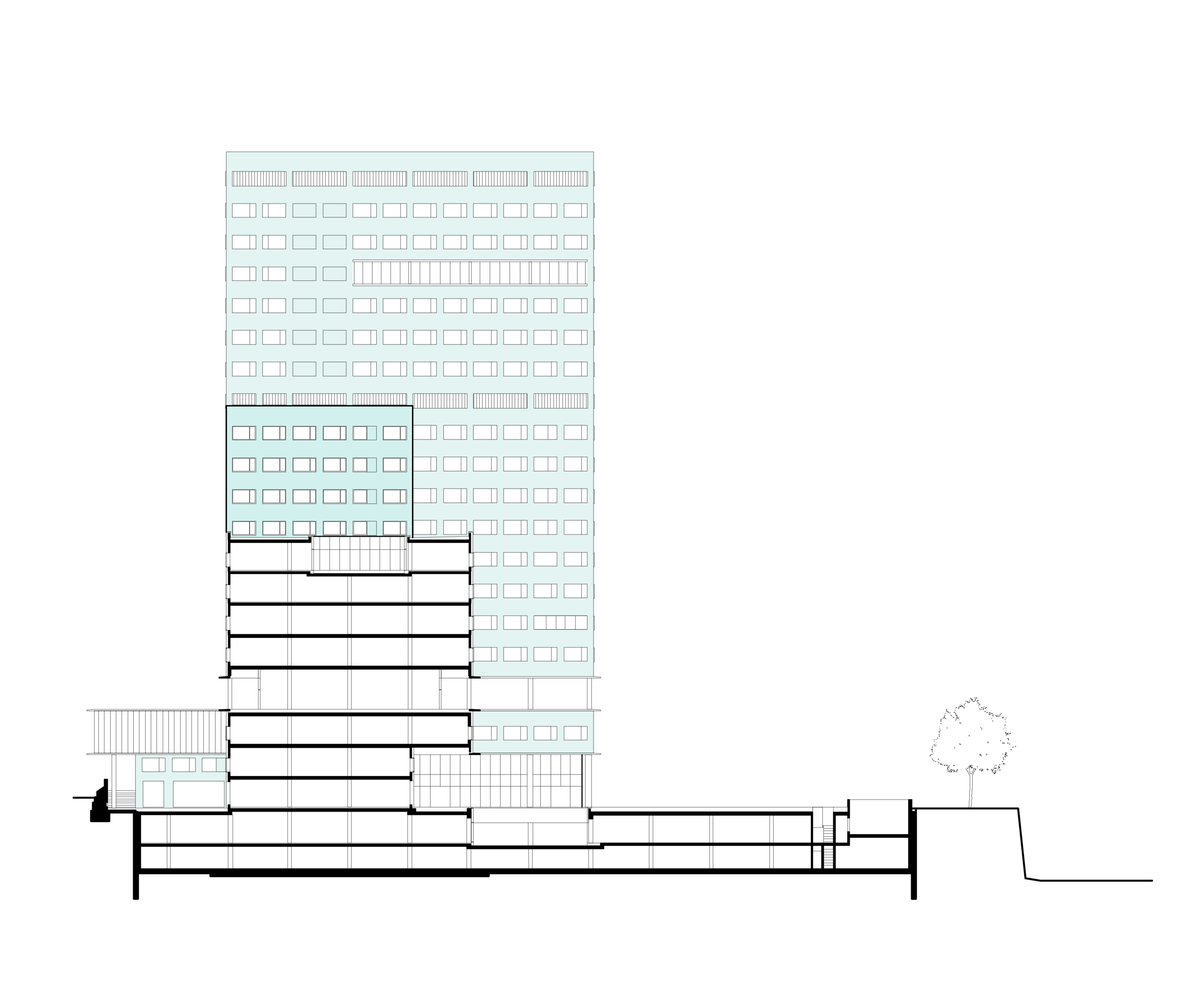 section