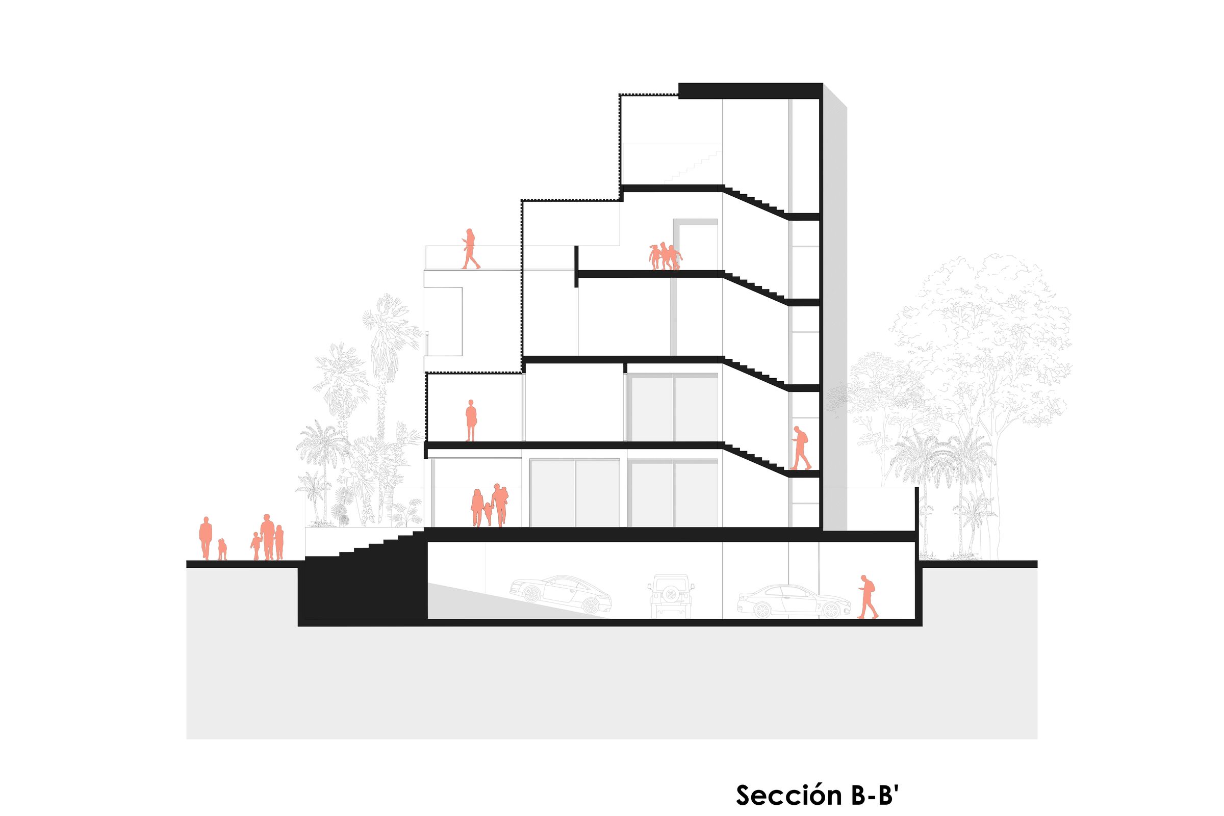 Section