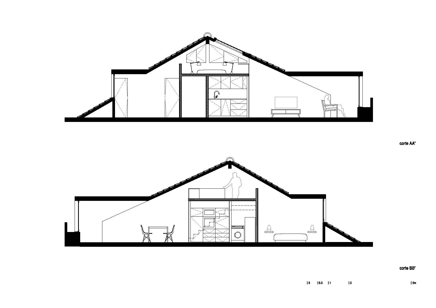 Longitudinal Sections