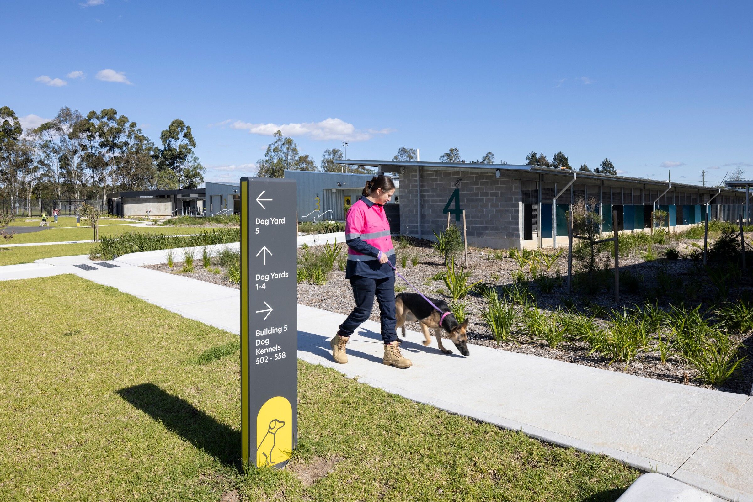 Gallery Of Blacktown Animal Rehoming Centre BARC Sam Crawford gallery-of-blacktown-animal-rehoming-centre-barc-sam-crawford