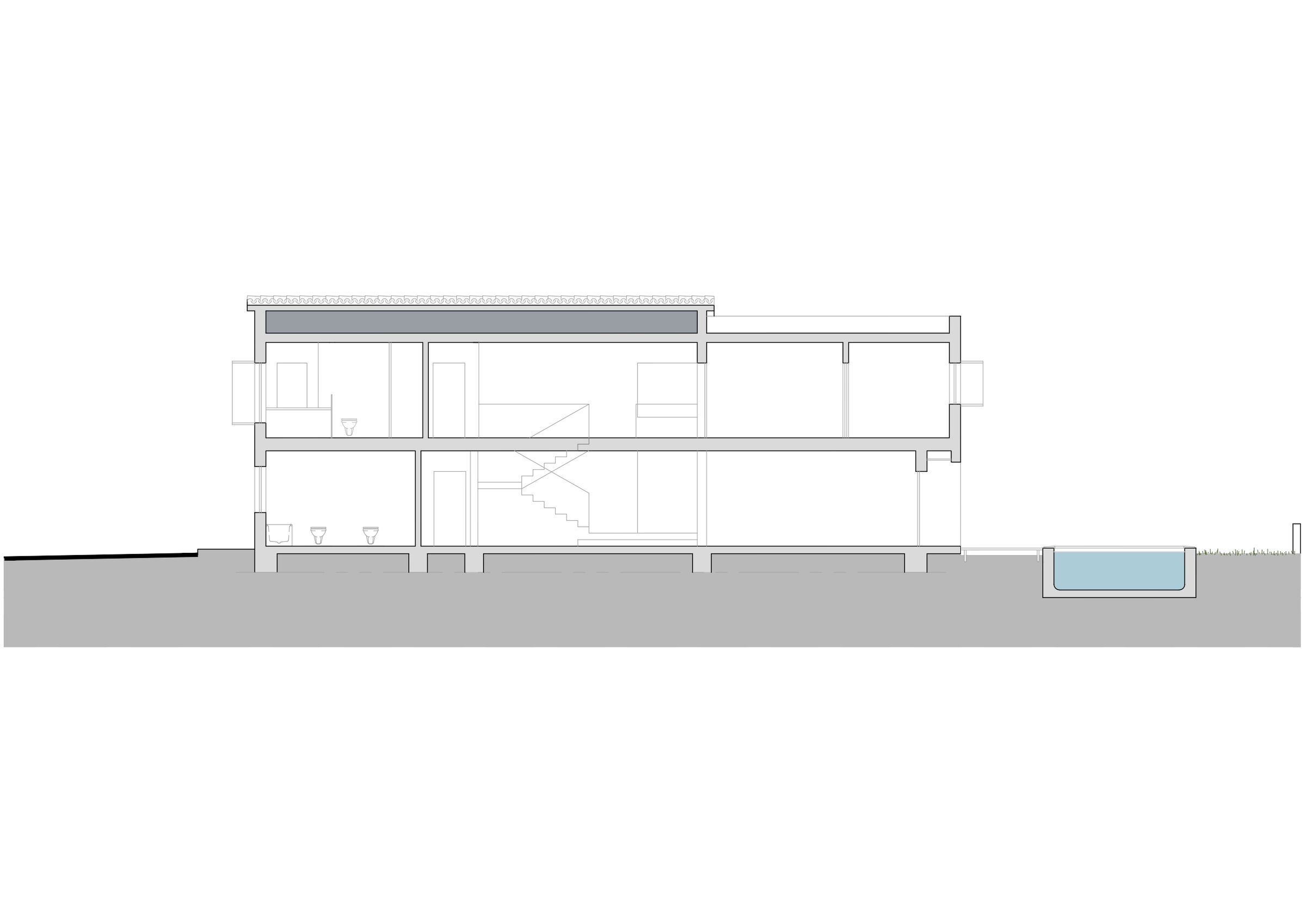 Logitudinal section