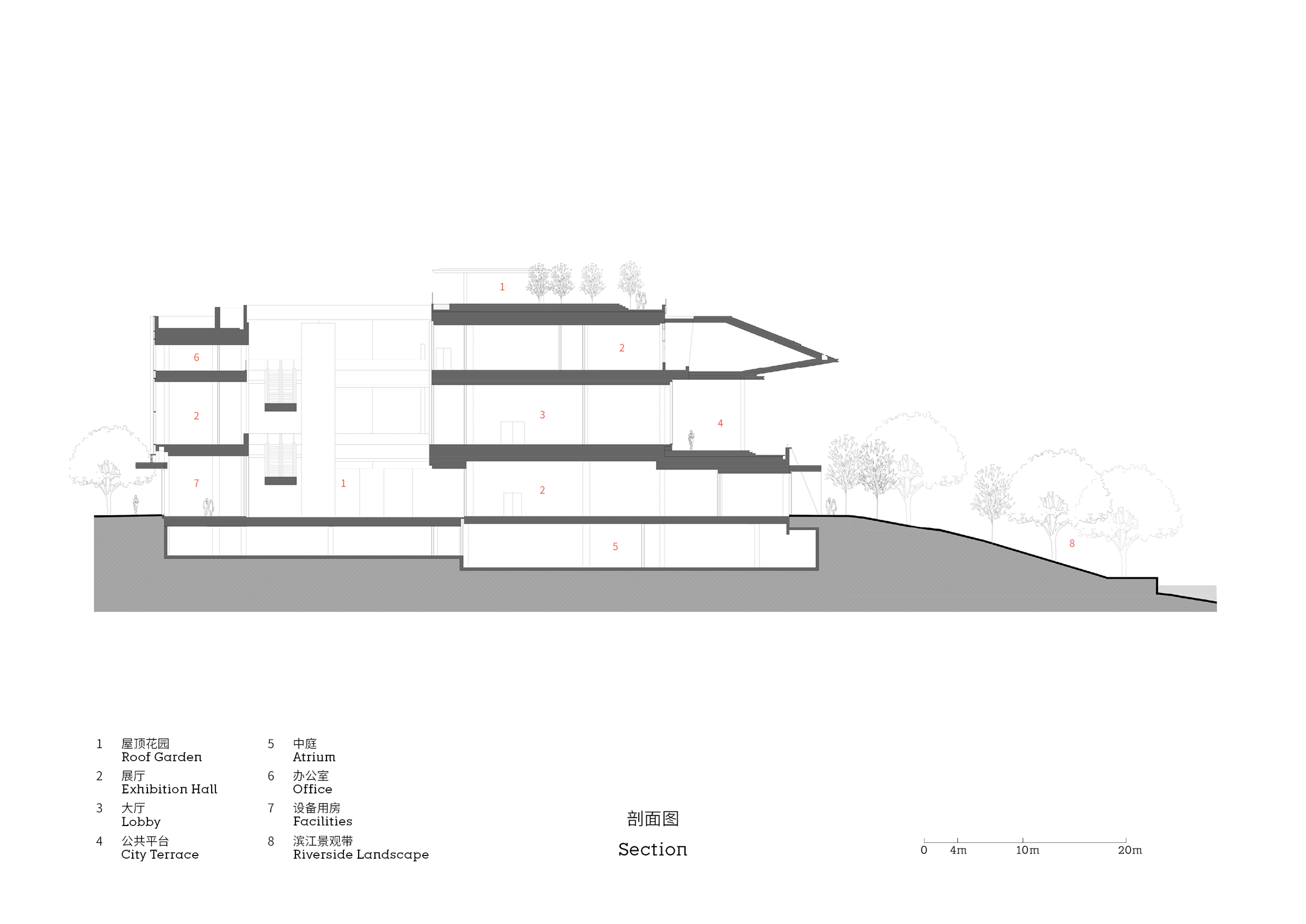 section