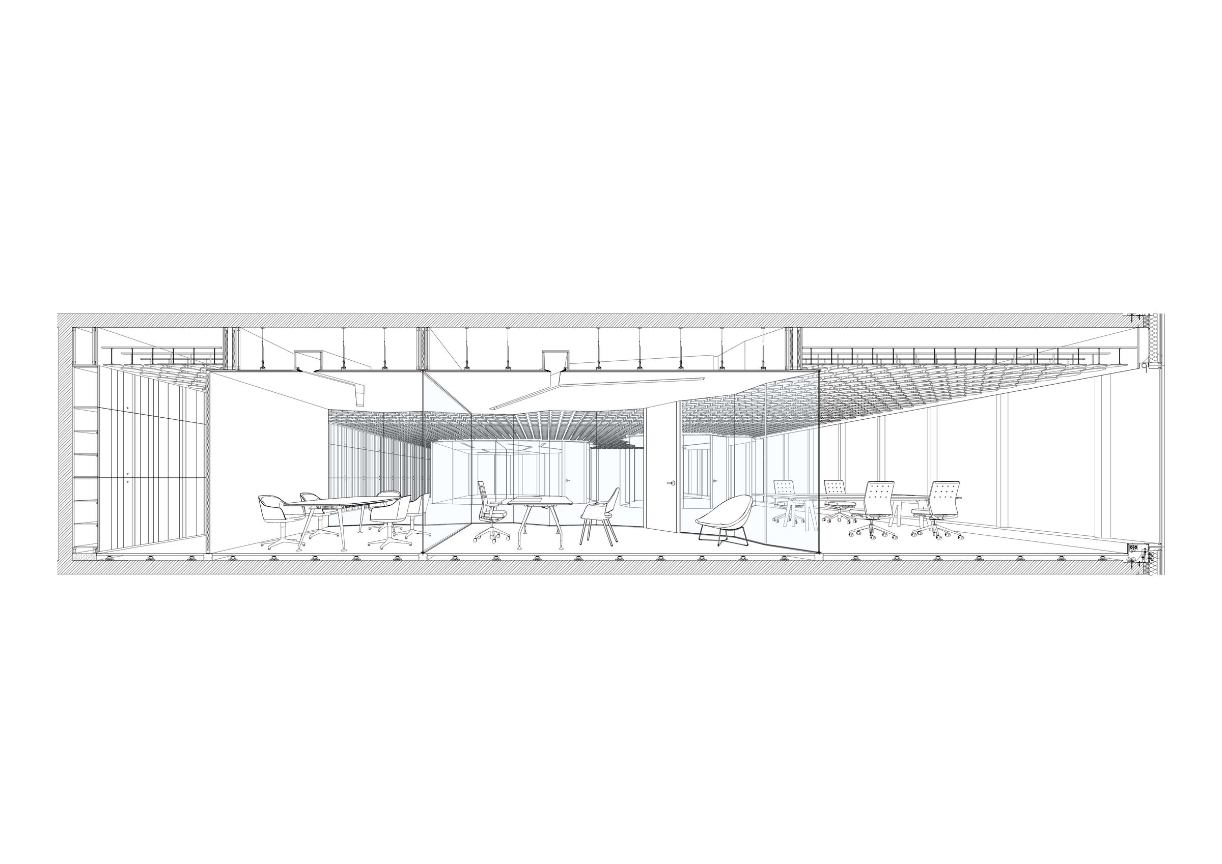 Perspective Section