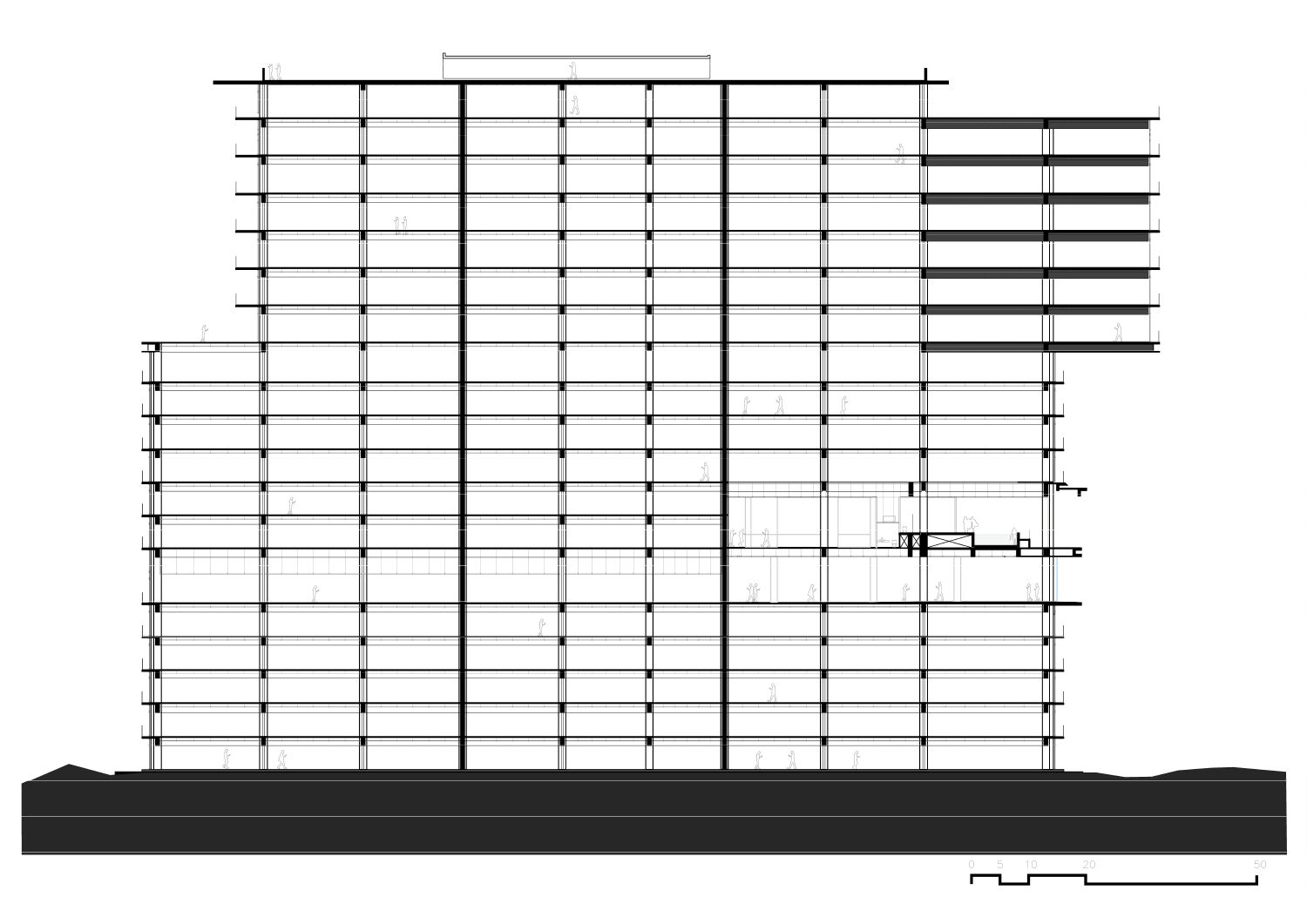 Longitudinal section
