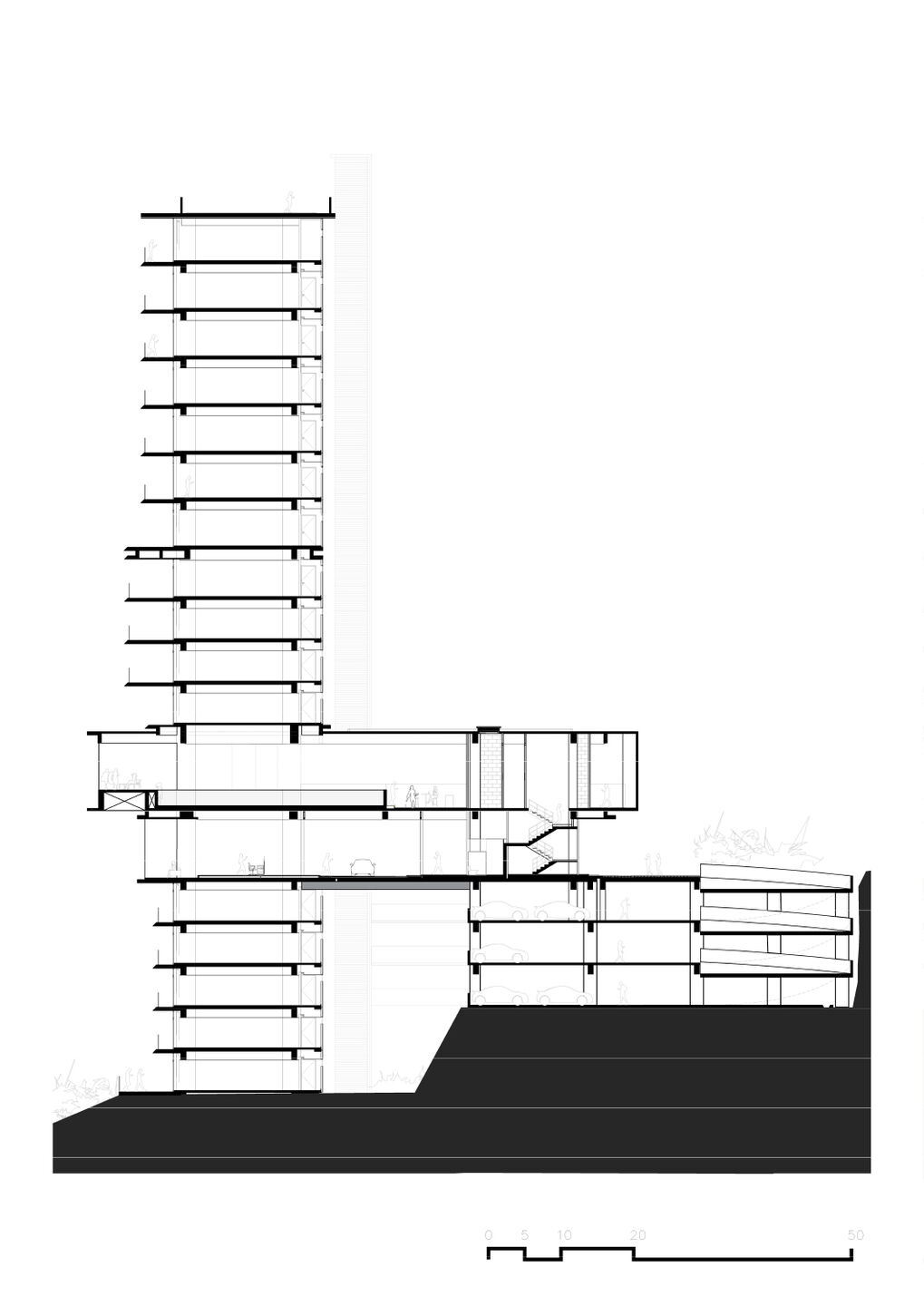 Cross section 03