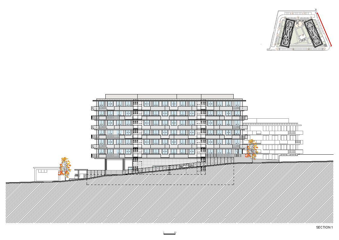 Section 1
