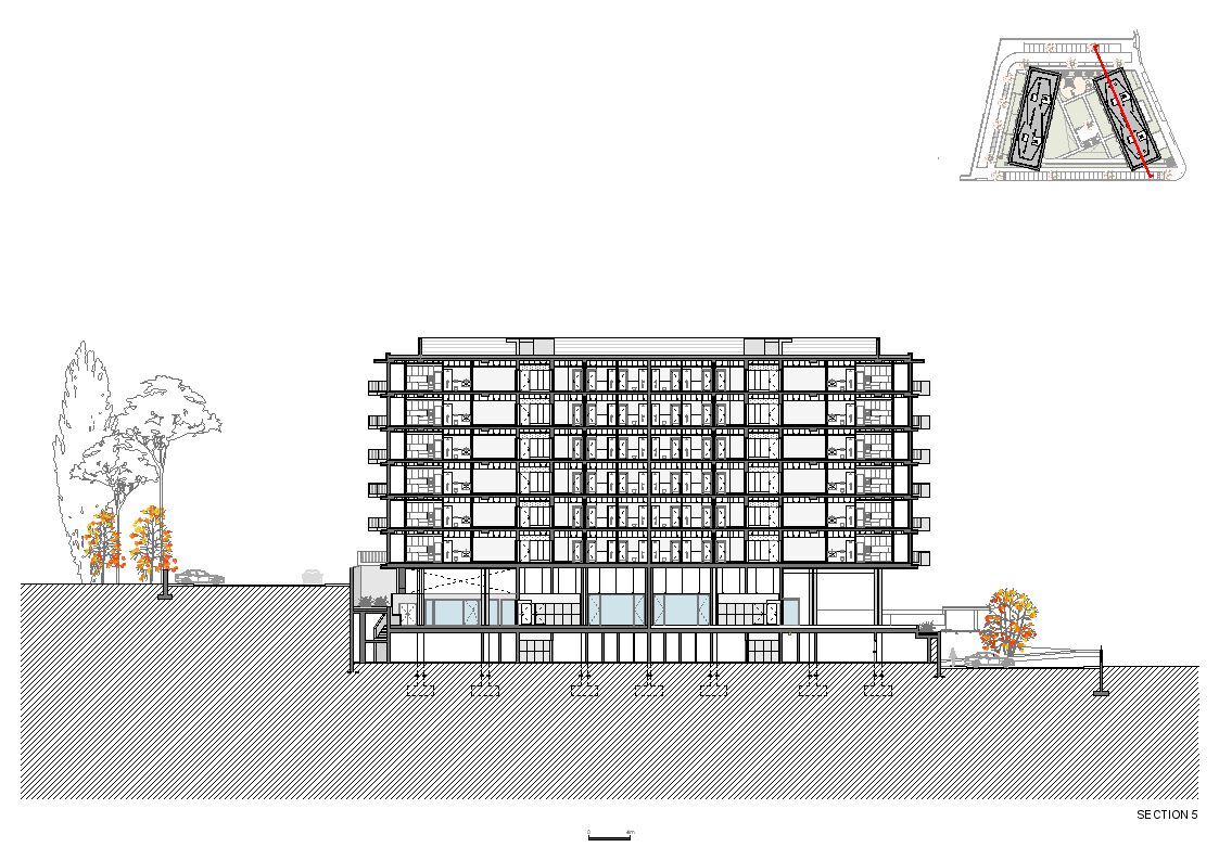 Section 5