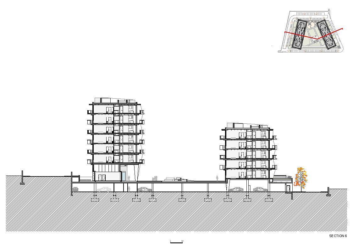 Section 6