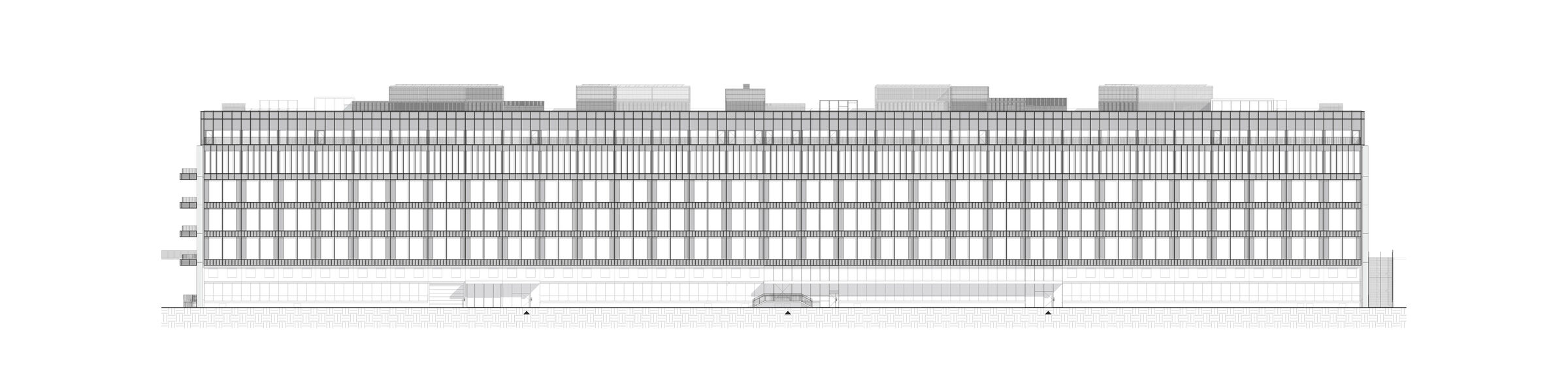 Elevation