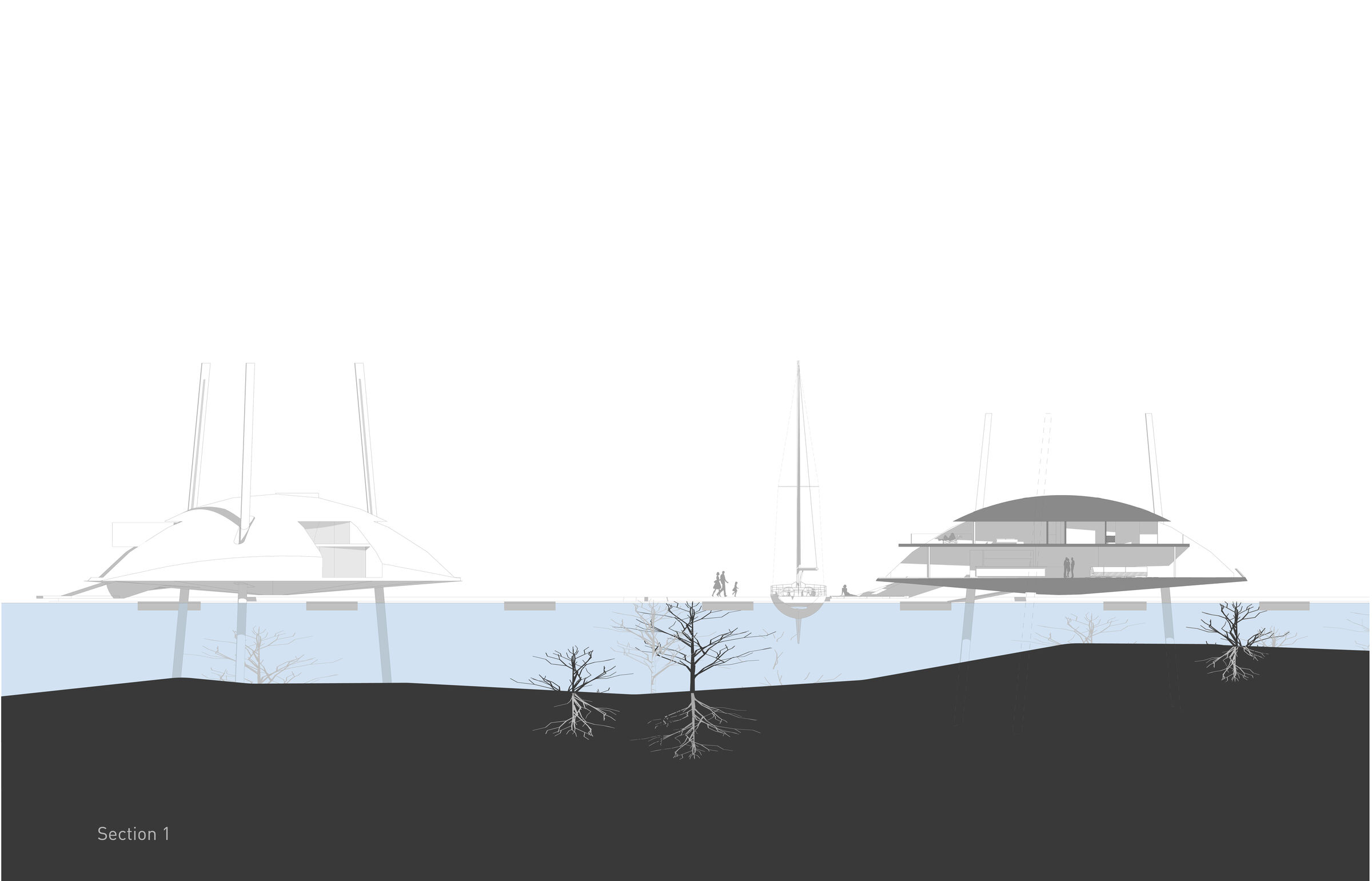 Site Section