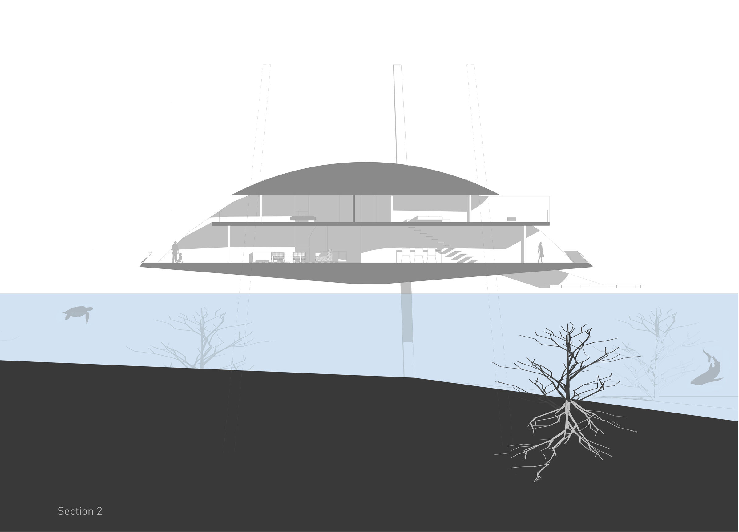 Enlarged Section