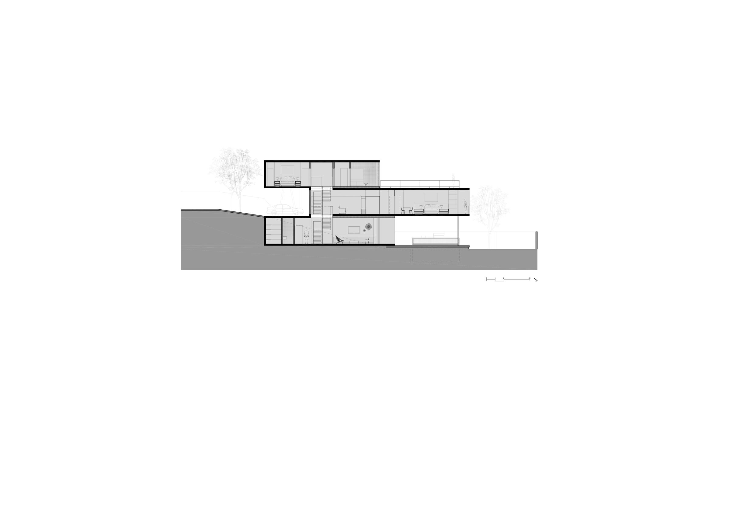 section