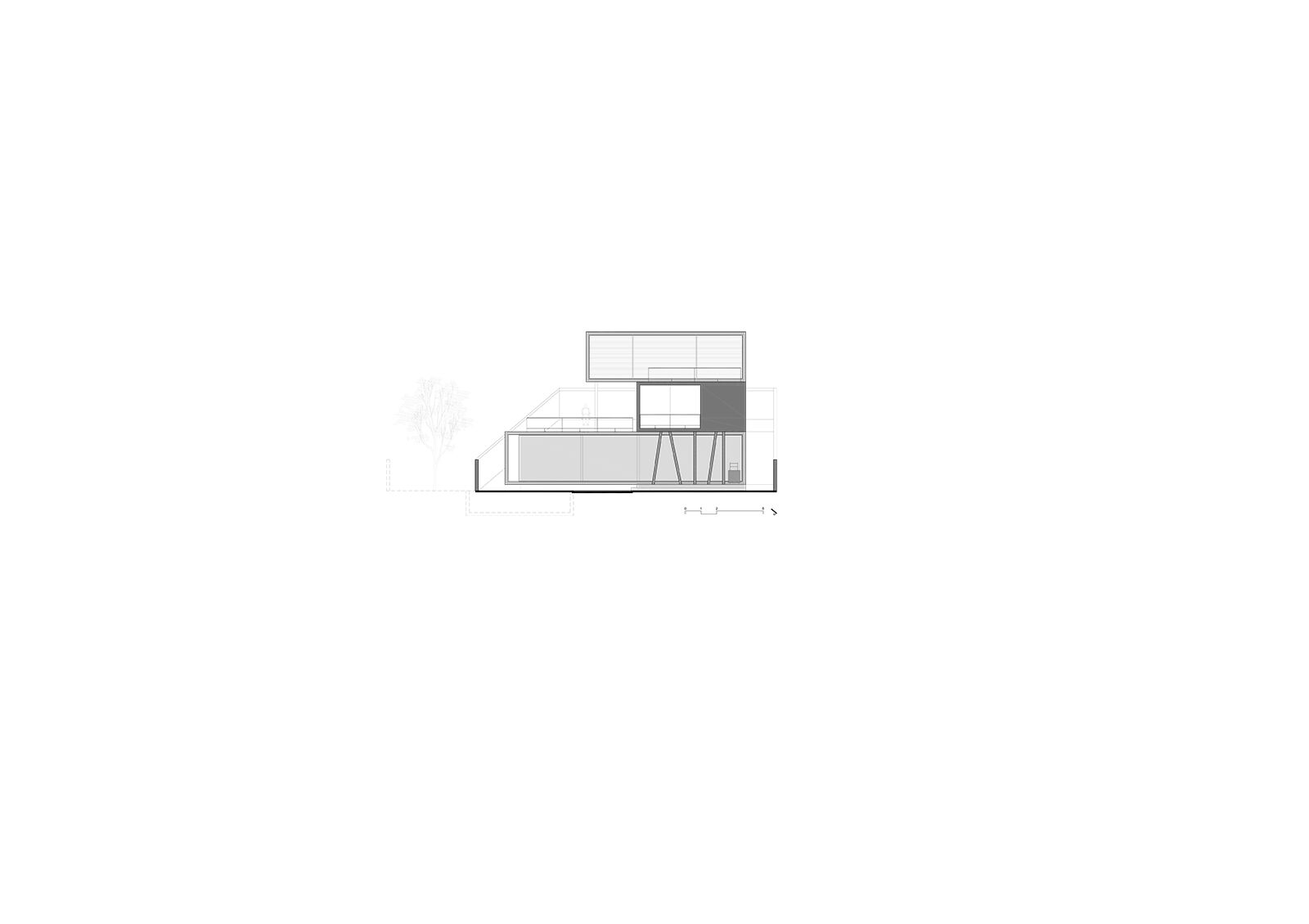 section