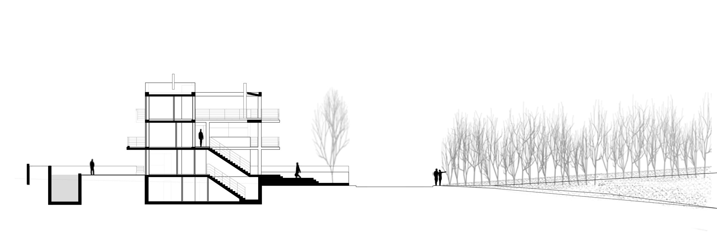 Section