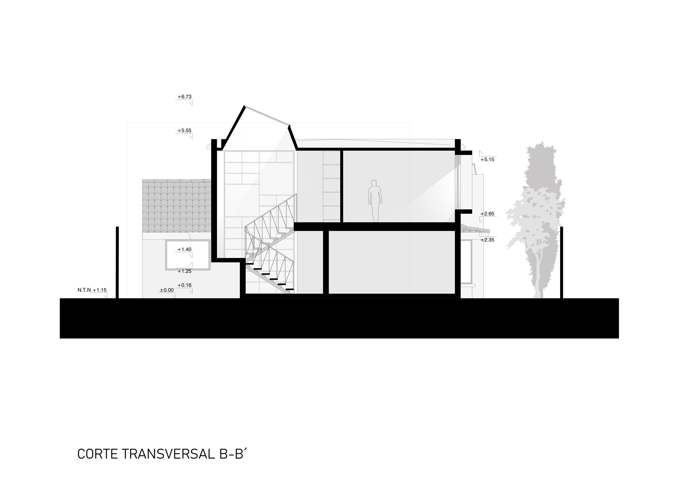Cross Section