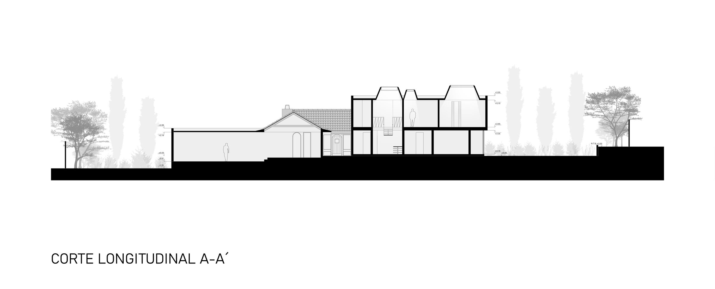 Longitudinal Section
