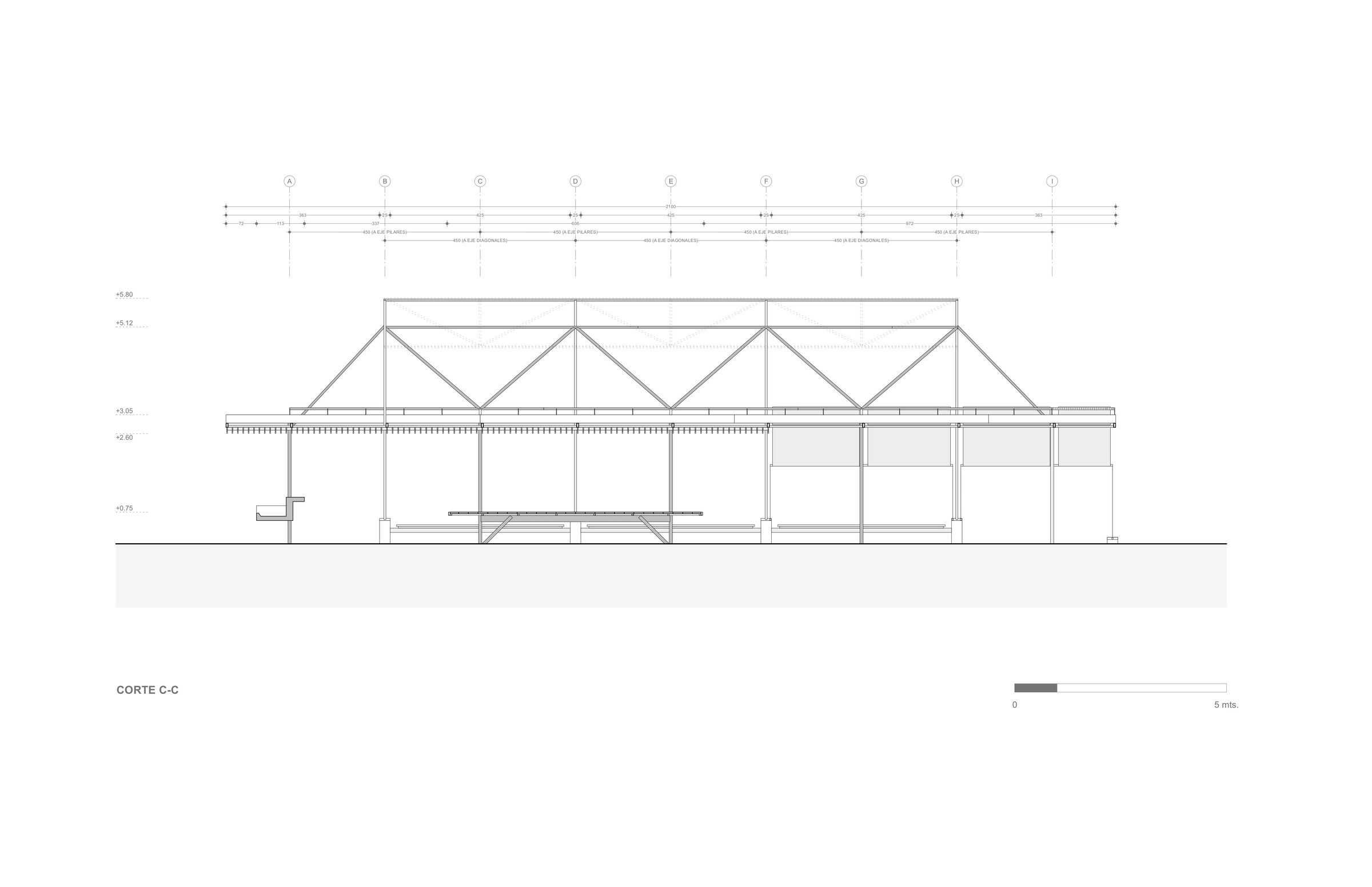 Section - Longitudinal