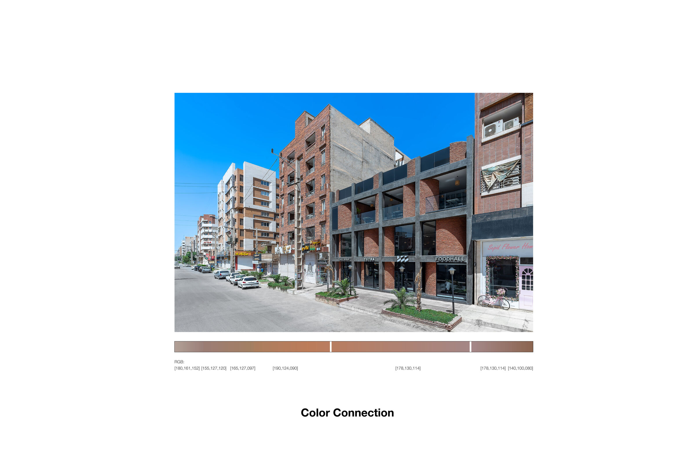 Tetra Food Hall _ Color Connection