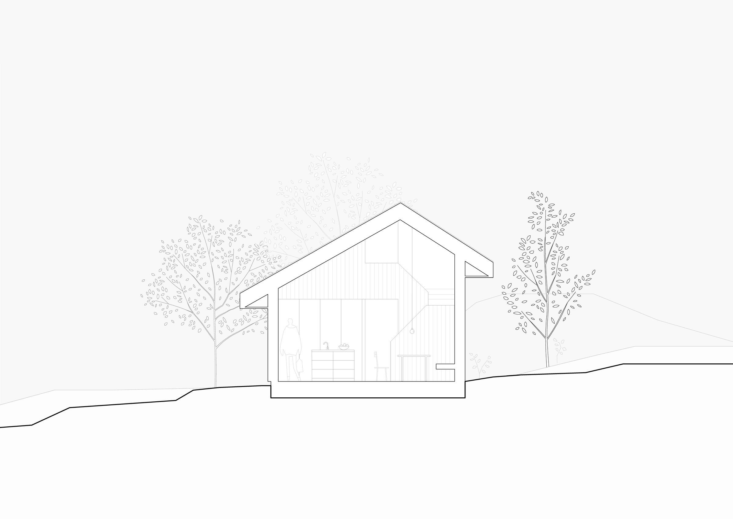 Section
