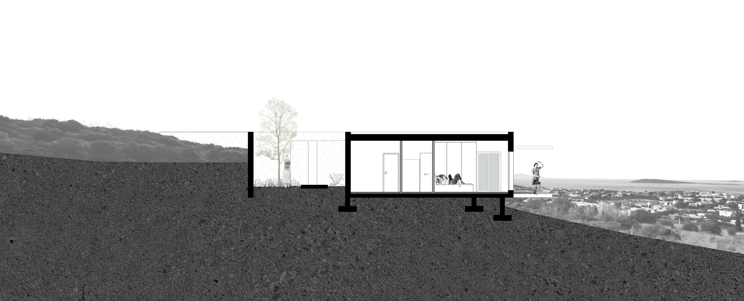 SECTION 1
