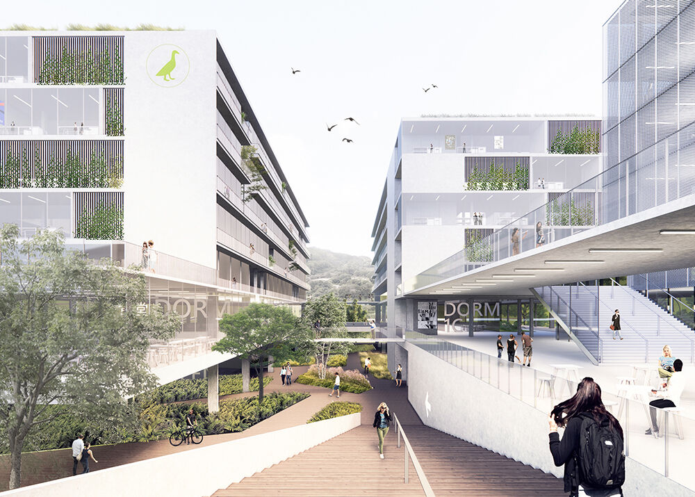 teaching cluster C: Biophilic City
