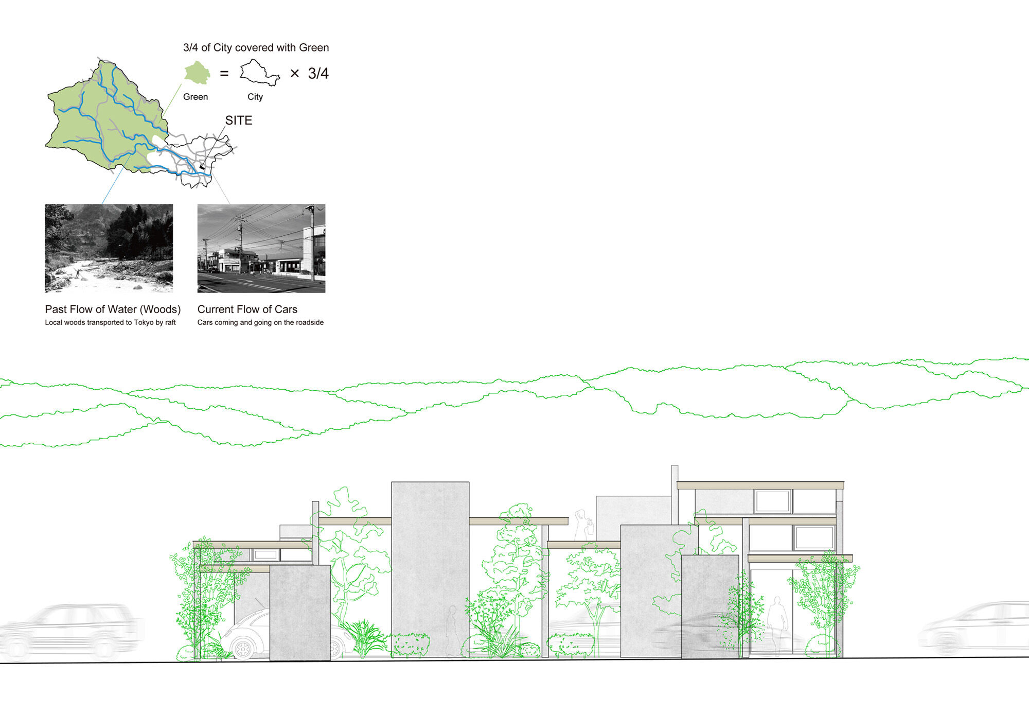 Elevation
