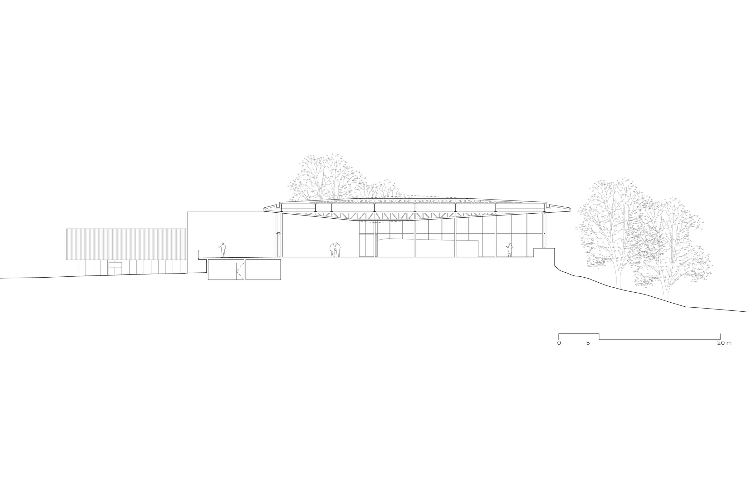Section 1
