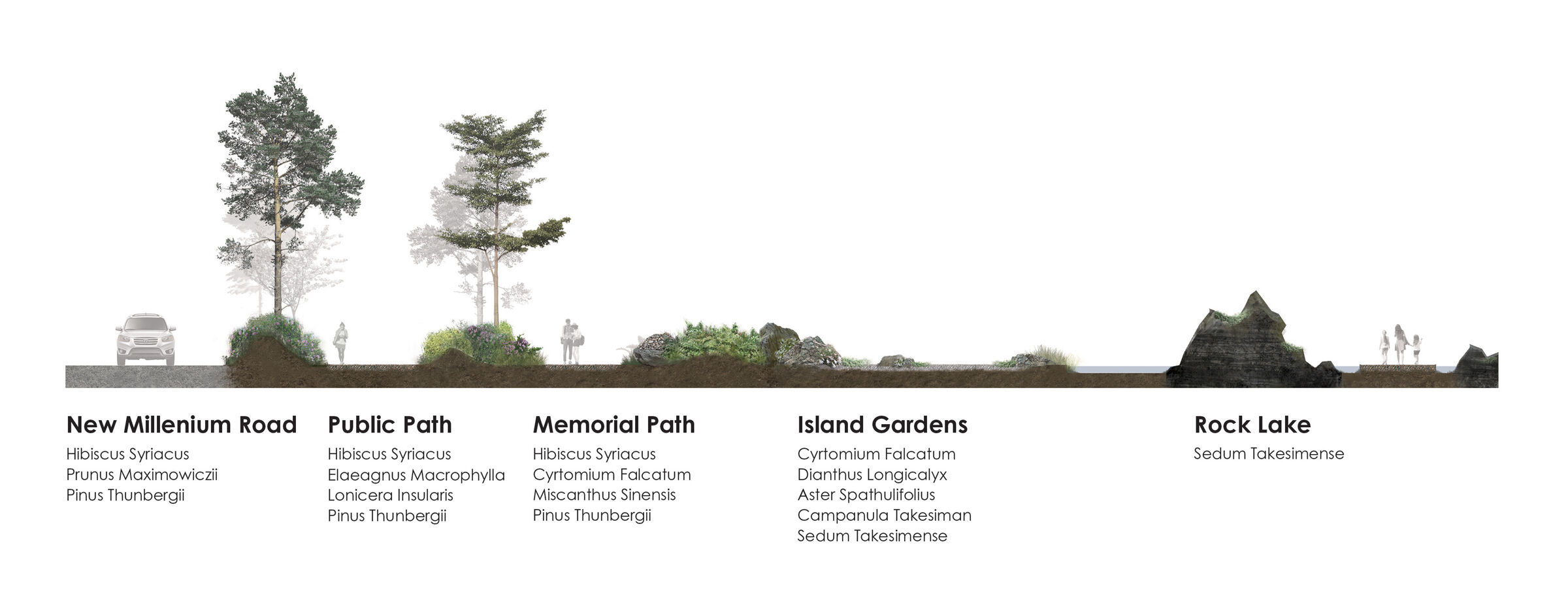 Site Landscape Diagram_02