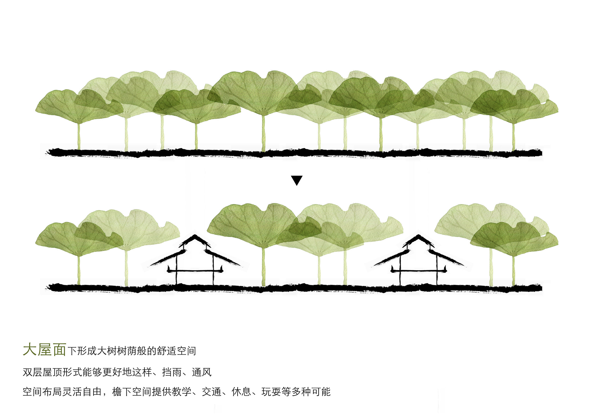 The huge roof