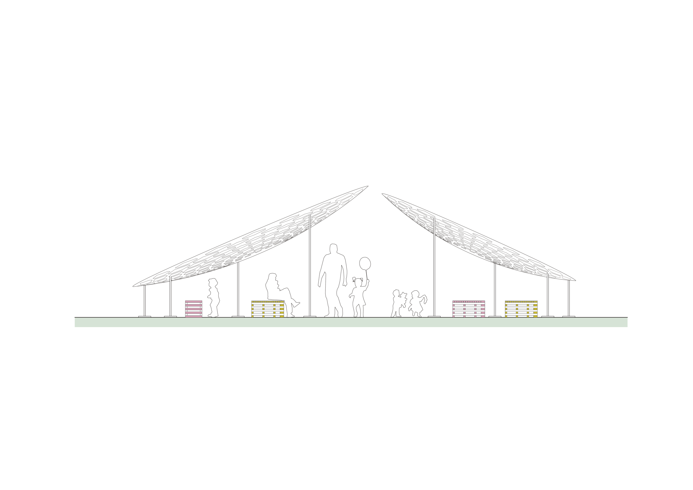 Elevation / Section