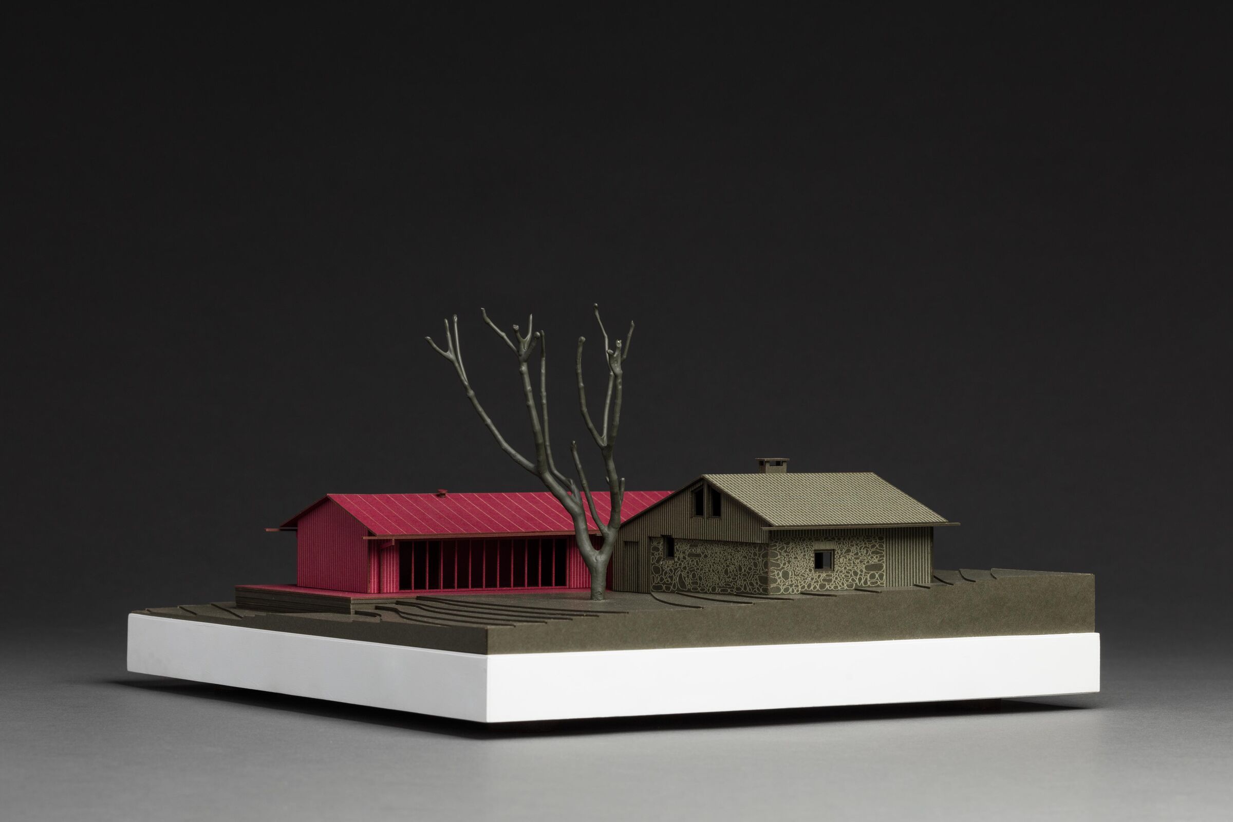 Physical model