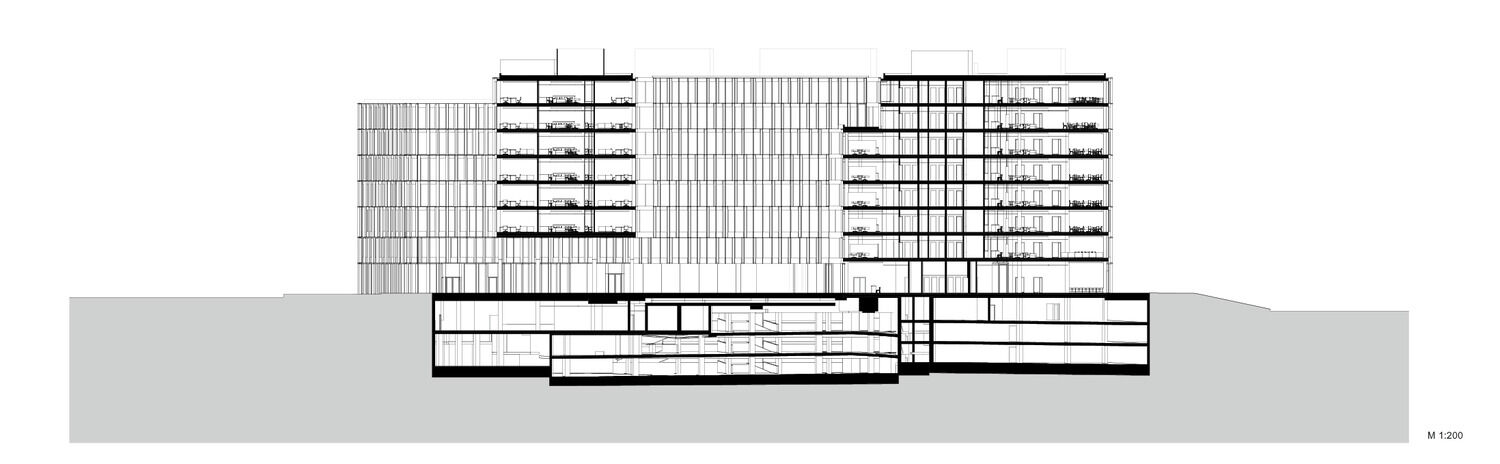Section