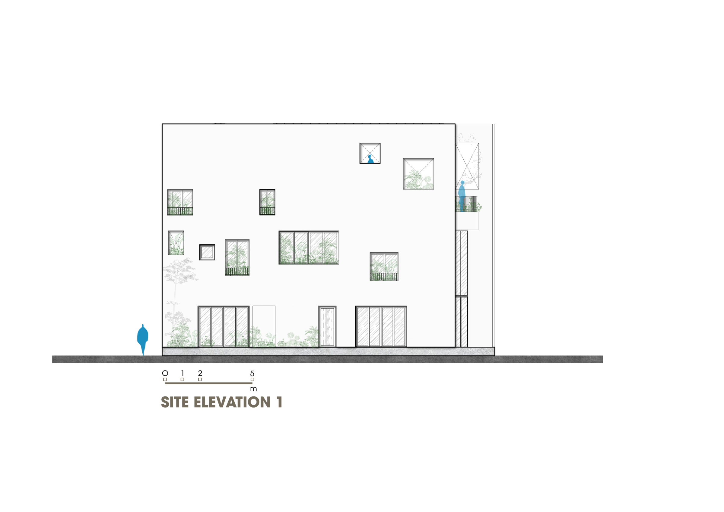 ELEVATION 01