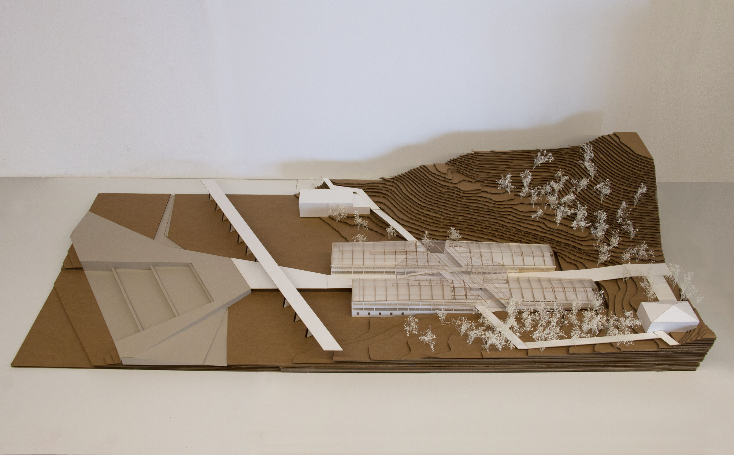 Structural Model