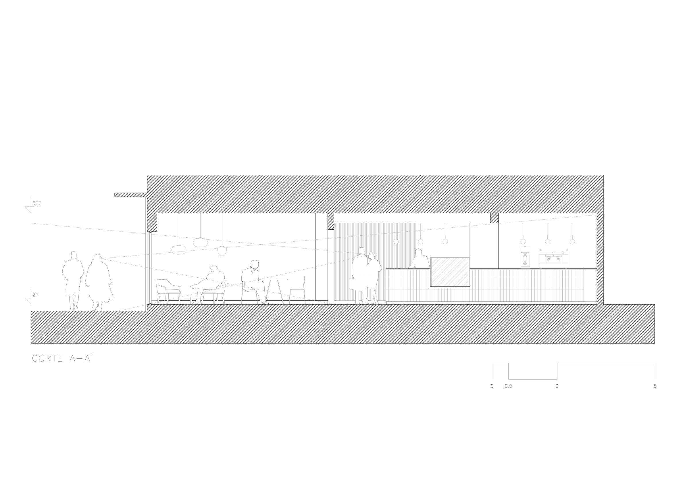 section a-a'