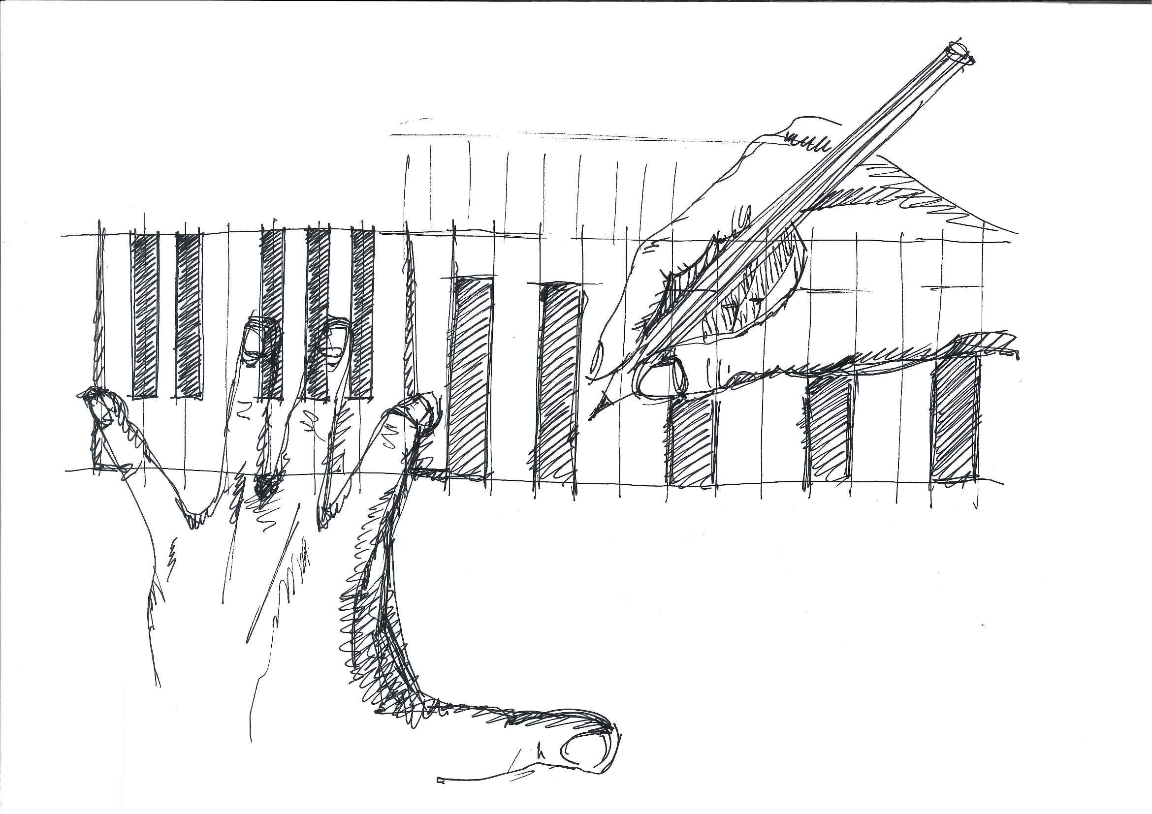 Sketch
