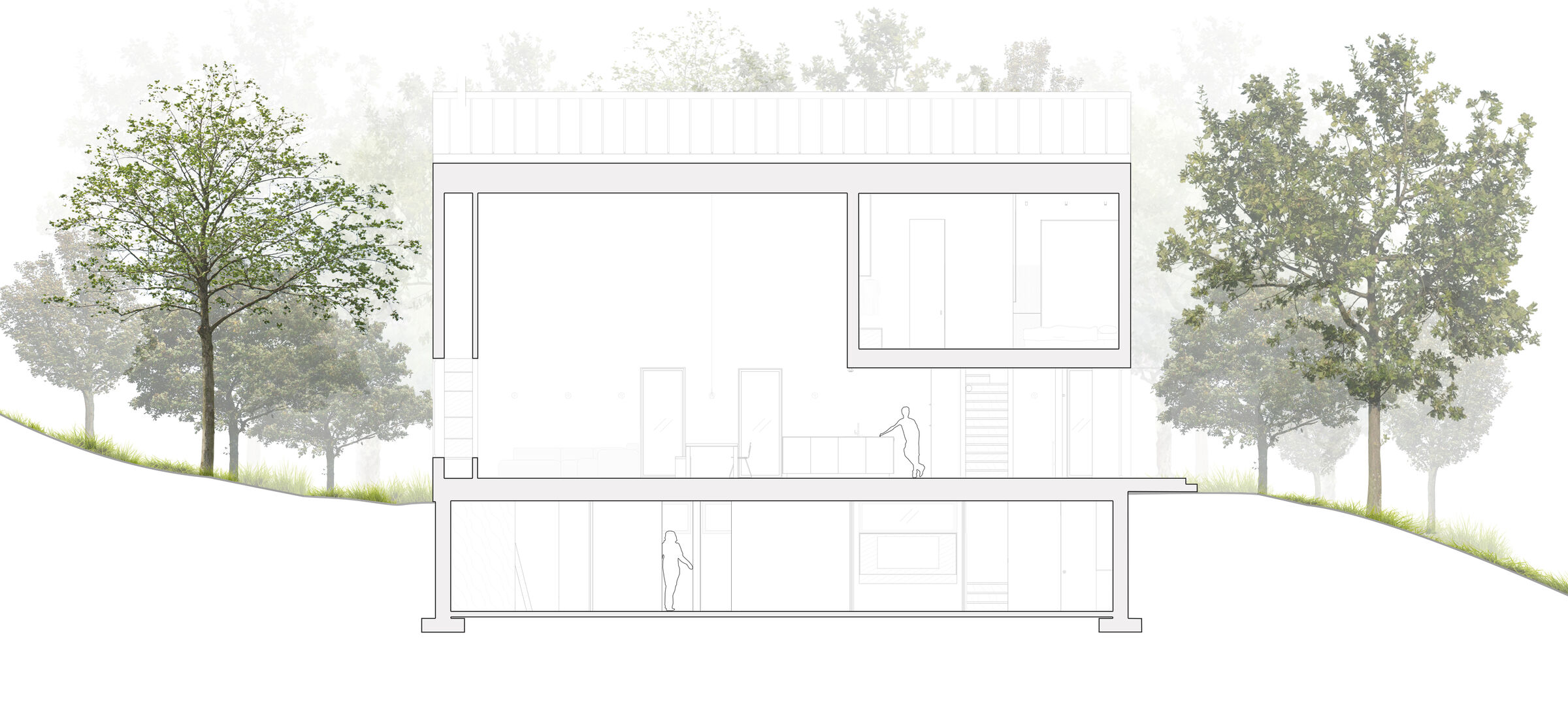Longitudinal Section - South