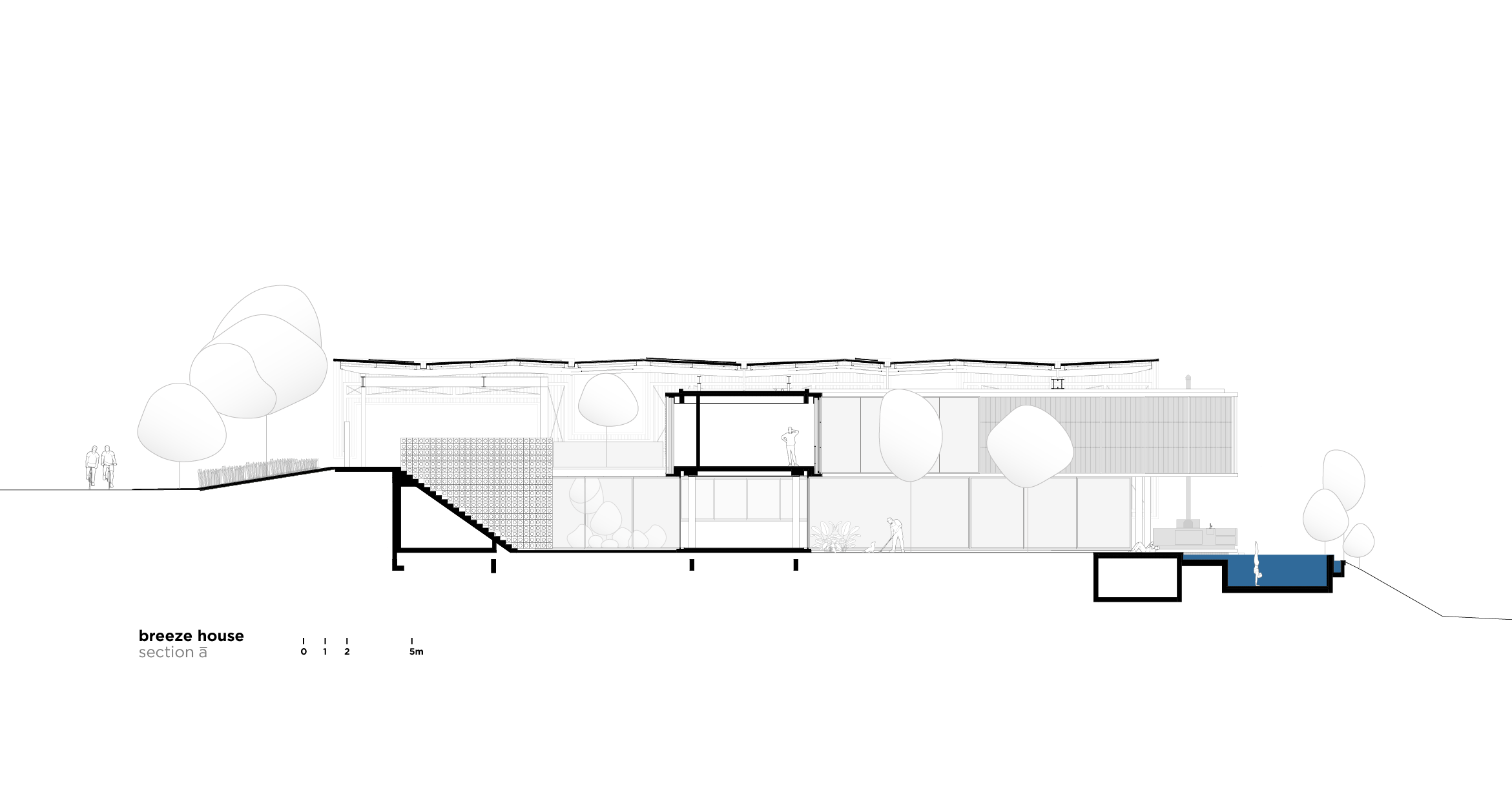 section