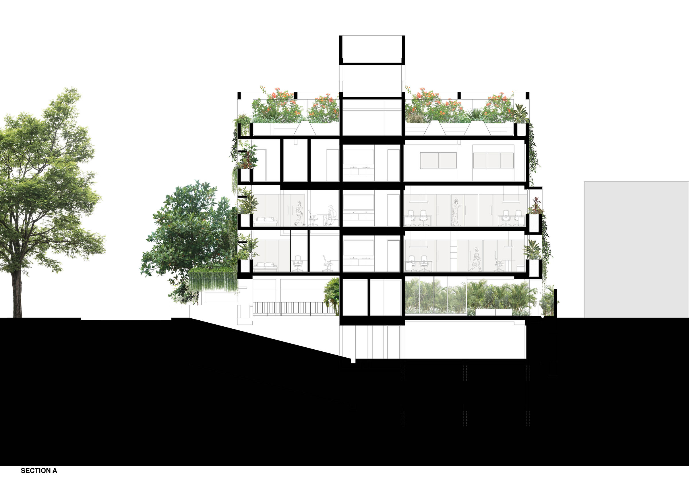 section